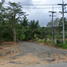  Land for sale in Thalang, Phuket, Pa Khlok, Thalang