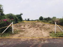  Land for sale in Ratchaburi, Chom Bueng, Chom Bueng, Ratchaburi