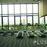 1 Bedroom Apartment for rent at Blocs 77, Phra Khanong Nuea, Watthana, Bangkok, Thailand