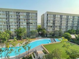 2 Bedroom Condo for rent at Plum Condo Rangsit Alive, Khlong Nueng, Khlong Luang