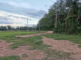  Land for sale in Du Tai, Mueang Nan, Du Tai