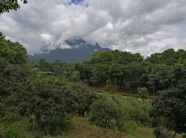  Grundstück zu verkaufen in Chiang Dao, Chiang Mai, Chiang Dao, Chiang Dao