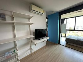 1 Bedroom Condo for rent at Connext, Talat Nuea, Phuket Town