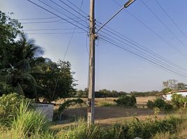  Grundstück zu verkaufen in Tha Bo, Nong Khai, Tha Bo