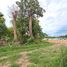  Land for sale in Bo Phut, Koh Samui, Bo Phut