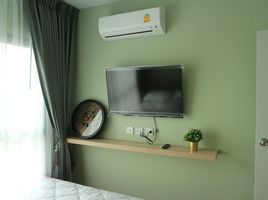 1 Bedroom Condo for rent at The Tree Sukhumvit 71-Ekamai, Suan Luang, Suan Luang, Bangkok, Thailand