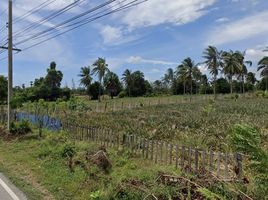  Grundstück zu verkaufen in Sam Roi Yot, Prachuap Khiri Khan, Sam Roi Yot, Sam Roi Yot, Prachuap Khiri Khan, Thailand