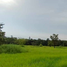  Land for sale in Phibun Mangsahan, Ubon Ratchathani, Don Chik, Phibun Mangsahan