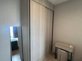 1 Schlafzimmer Appartement zu vermieten im Ideo Mobi Sukhumvit East Point, Bang Na, Bang Na