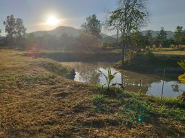  Land for sale in Phichai, Mueang Lampang, Phichai