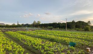 Земельный участок, N/A на продажу в Khlong Muang, Накхон Ратчасима 