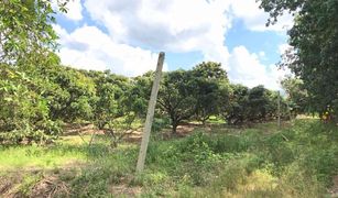 N/A Land for sale in Mae Pang, Chiang Mai 