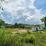  Land for sale in Choeng Thale, Phuket, Choeng Thale, Thalang
