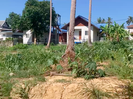  Grundstück zu verkaufen in Koh Samui, Surat Thani, Bo Phut