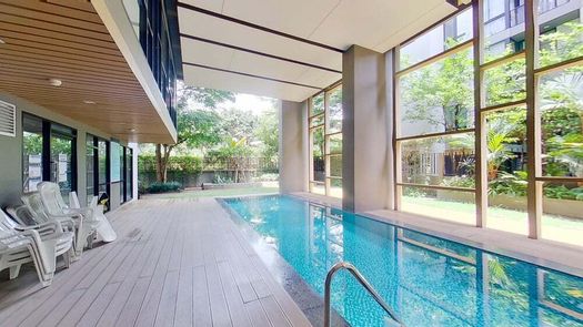 3D视图 of the Communal Pool at Palm Springs Nimman (Parlor)