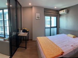 1 Schlafzimmer Wohnung zu verkaufen im Tree Condo Sukhumvit 50, Phra Khanong