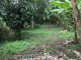  Land for sale in Ratchaburi, Huai Phai, Mueang Ratchaburi, Ratchaburi