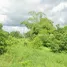 Land for sale in Chong Khae, Nakhon Sawan, Chong Khae, Takhli