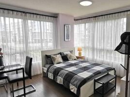 Студия Кондо в аренду в D Condo Creek, Катху