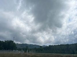  Grundstück zu verkaufen in Takua Pa, Phangnga, Khuek Khak