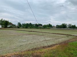  Land for sale in San Kamphaeng, Chiang Mai, Buak Khang, San Kamphaeng