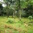  Land for sale in Upala, Alajuela, Upala