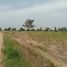 ขายที่ดิน ใน ดงดินแดง, ลพบุรี, ดงดินแดง, หนองม่วง
