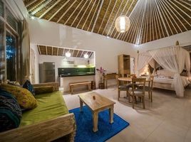 1 Schlafzimmer Villa zu vermieten in Gianyar, Bali, Ubud, Gianyar