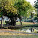 The Emerald Garden & Sport Club