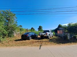  Land for sale in Krok Phra, Nakhon Sawan, Yang Tan, Krok Phra