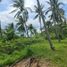  Land for sale in Surat Thani, Taling Ngam, Koh Samui, Surat Thani