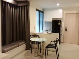 1 Schlafzimmer Appartement zu vermieten im Rhythm Sukhumvit 42, Phra Khanong