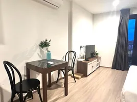 1 спален Кондо в аренду в THE BASE Central Phuket, Wichit, Пхукет Тощн, Пхукет, Таиланд
