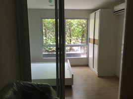 1 Schlafzimmer Wohnung zu vermieten im Tempo One Ramkamhaeng-Rama 9, Hua Mak, Bang Kapi