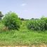  Land for sale in Non Sung, Nakhon Ratchasima, Non Sung, Non Sung