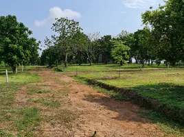在Mueang Chiang Rai, 清莱出售的 土地, Huai Sak, Mueang Chiang Rai
