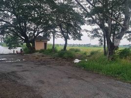  Land for sale in Khlong Sam Wa, Bangkok, Sam Wa Tawan Ok, Khlong Sam Wa