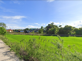  Grundstück zu verkaufen in Sena, Phra Nakhon Si Ayutthaya, Lat Nga, Sena