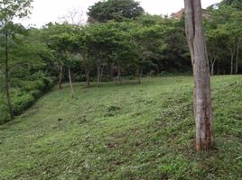  Land for sale at Tamarindo, Santa Cruz
