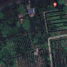  Land for sale in Bang Kachao, Phra Pradaeng, Bang Kachao