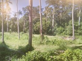  Land for sale in Ao Bang Kao, Na Mueang, Na Mueang