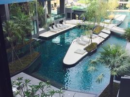 1 Schlafzimmer Appartement zu vermieten im Acqua Condo, Nong Prue