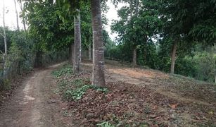 N/A Land for sale in Lae, Nan 