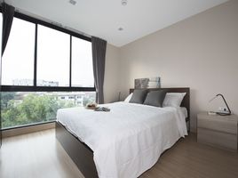 2 Schlafzimmer Appartement zu vermieten im The Ace Ekamai , Khlong Tan Nuea, Watthana