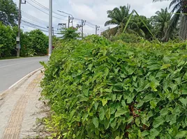  Land for rent in Si Sunthon, Phuket, Si Sunthon, Thalang