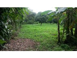 Land for sale at Alajuela, San Ramon