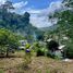  Land for sale in Kathu, Phuket, Patong, Kathu