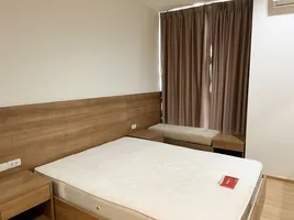 1 спален Кондо в аренду в Rhythm Sukhumvit 50, Phra Khanong, Кхлонг Тоеи, Бангкок