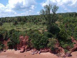  Land for sale in Chumphon, Pak Khlong, Pathio, Chumphon