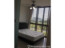 2 Bedroom Apartment for rent at Race Course Road, Farrer park, Rochor, Central Region